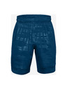 Under Armour Férfi rövidnadrágok Under Armour Train Stretch Print Sts