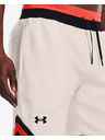 Under Armour Férfi rövidnadrágok Under Armour RIVAL FLEECE AMP SHORT