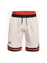 Under Armour Férfi rövidnadrágok Under Armour RIVAL FLEECE AMP SHORT