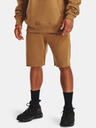 Under Armour Férfi rövidnadrágok Under Armour UA ORIGINATORS SHORT