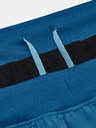 Under Armour Férfi rövidnadrágok Under Armour UA Speed Stride 2.0 Short