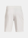 Under Armour Férfi rövidnadrágok Under Armour RIVAL TERRY CLLGT SHORT