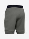 Under Armour Férfi rövidnadrágok Under Armour Move Shorts