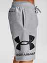 Under Armour Férfi rövidnadrágok Under Armour Rival FLC Big Logo Shorts