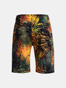 Under Armour Férfi rövidnadrágok Under Armour UA Rival Flc Sport Palm Sts