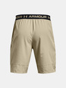 Under Armour Férfi rövidnadrágok Under Armour UA Vanish Woven 8in Shorts