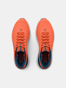 Under Armour Férfi cipők Under Armour UA Charged Rogue 3 Storm
