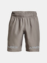 Under Armour Férfi rövidnadrágok Under Armour UA Woven Graphic WM Short