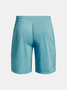 Under Armour Férfi rövidnadrágok Under Armour UA Tech Mesh Shorts