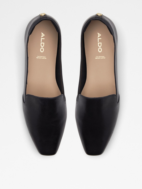 Aldo Lareir Mokaszin