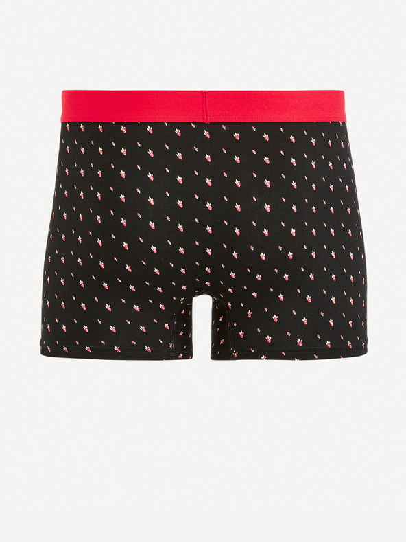 Celio Fifusee Boxeralsó