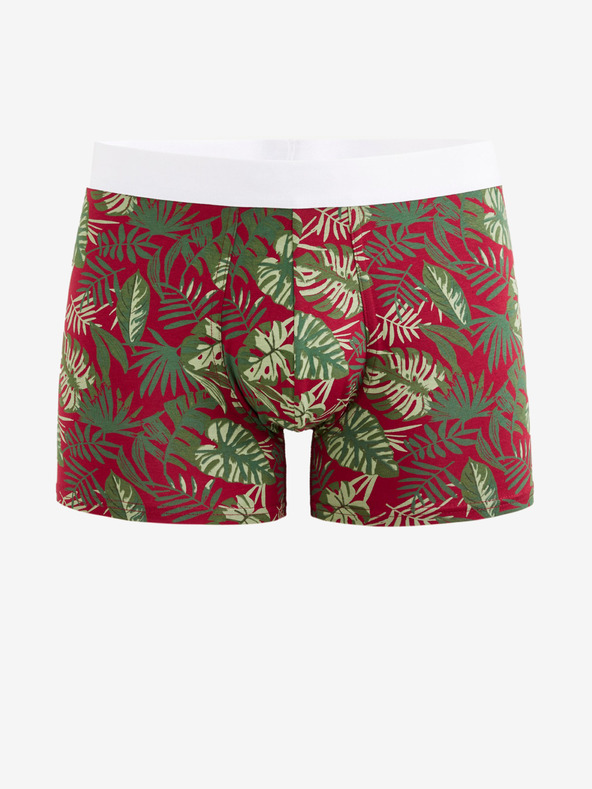 Celio Dipalm Boxeralsó
