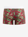 Celio Dipalm Boxeralsó