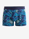 Celio Dipalm Boxeralsó