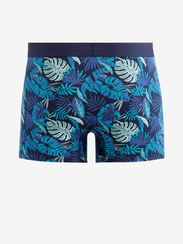 Celio Dipalm Boxeralsó