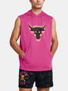 Under Armour Férfi felső Under Armour Pjt Q2 Payoff SL Flce HD