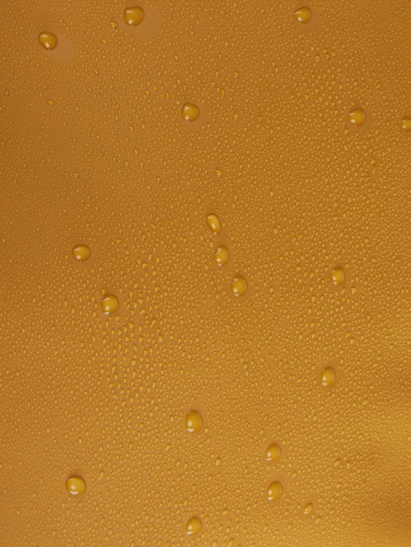 Thule Mustár utazótáska 90 l Thule Chasm