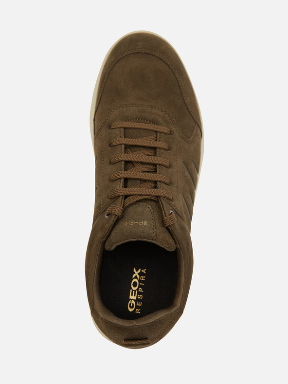 Geox Khaki színű férfi Geox Spherica tornacipő