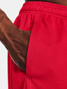 Under Armour Férfi rövidnadrágok Under Armour Tech Mesh Short