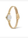 Daniel Wellington Petite Mini 19 Evergold Karóra