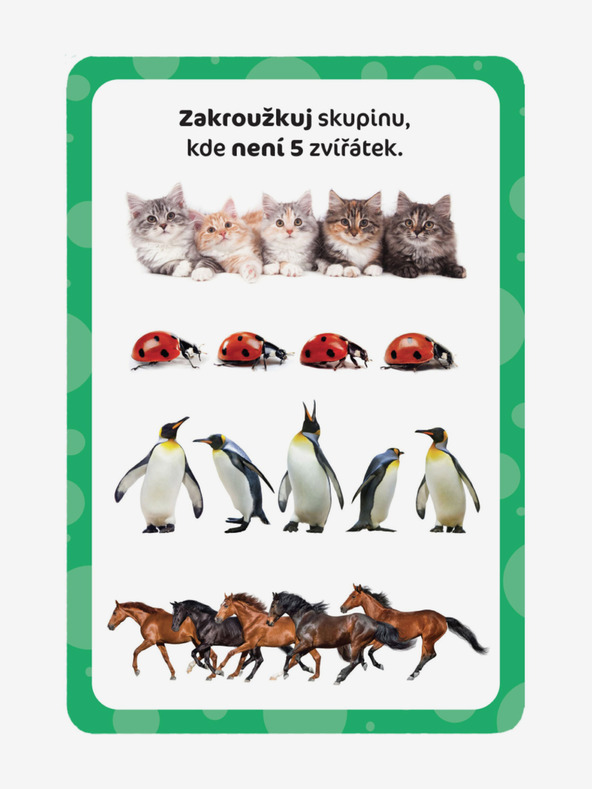ELLA & MAX Varázstábla és kaparókártyák - Első számolás