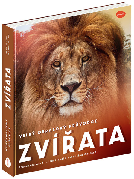 ELLA & MAX Nagy képeskönyv az ÁLLATOKRÓL