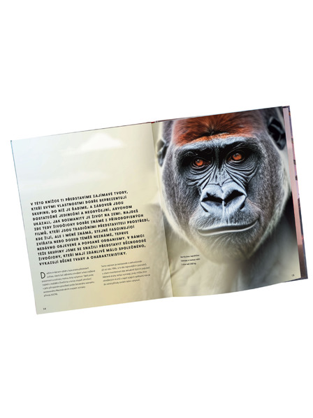 ELLA & MAX Nagy képeskönyv az ÁLLATOKRÓL