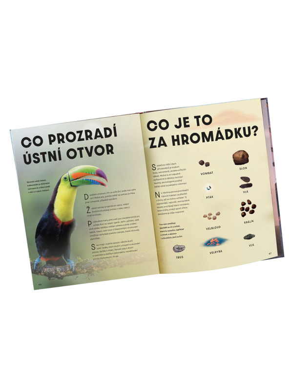 ELLA & MAX Nagy képeskönyv az ÁLLATOKRÓL