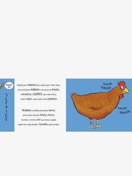 ELLA & MAX Csintalan Play-Doh állatokkal