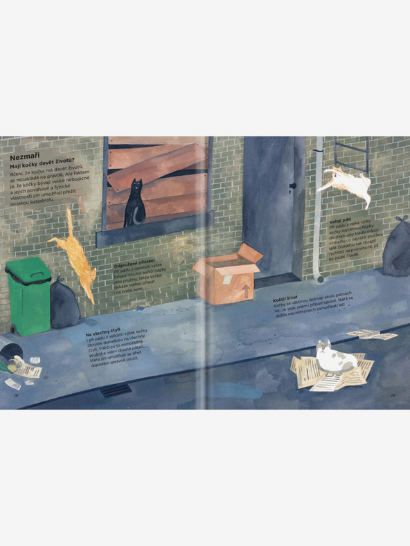 ELLA & MAX MIÉRT MÁSZNAK A MACSKÁK FÜGGÖNYRE? - Minden a macskákról