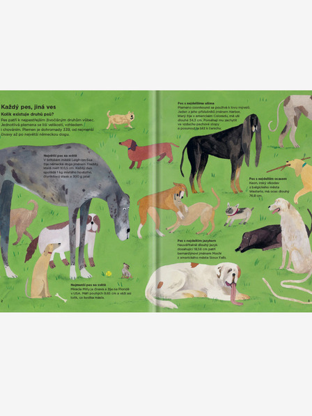 ELLA & MAX MIÉRT SZAGLÁSZNAK A KUTYÁK? - Minden a kutyákról