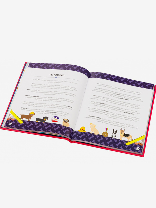 ELLA & MAX KUTYÁK AKCIÓBAN! – Hihetetlen kutyatörténetek