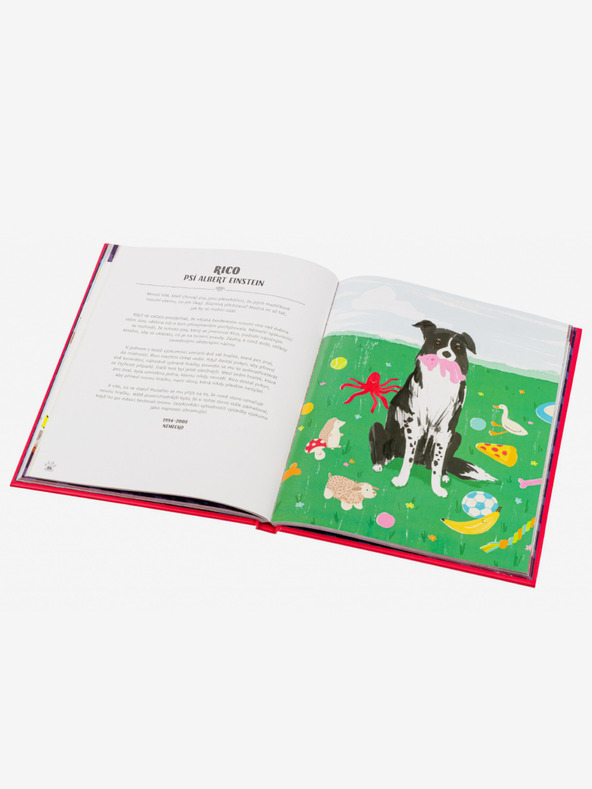 ELLA & MAX KUTYÁK AKCIÓBAN! – Hihetetlen kutyatörténetek