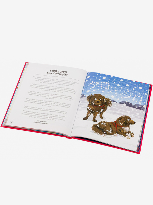 ELLA & MAX KUTYÁK AKCIÓBAN! – Hihetetlen kutyatörténetek