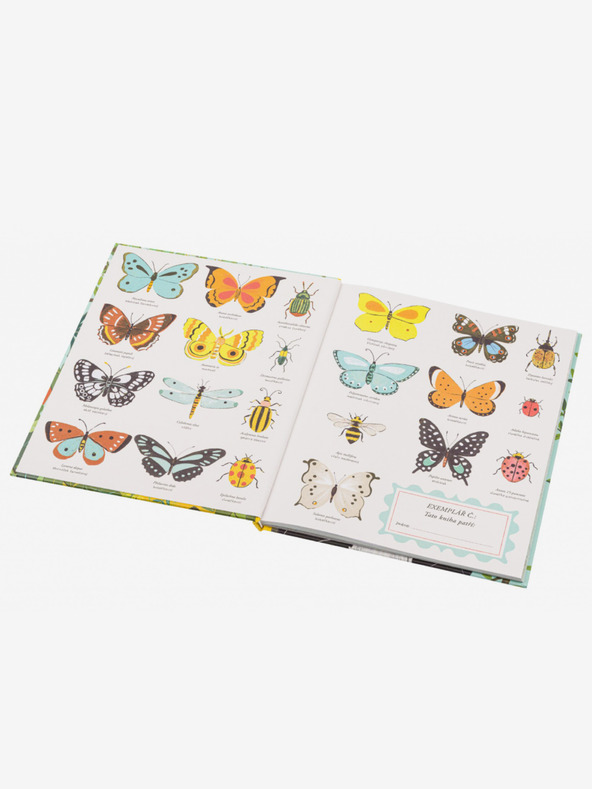 ELLA & MAX A fajok eredetéről - Darwin elmélete gyerekeknek