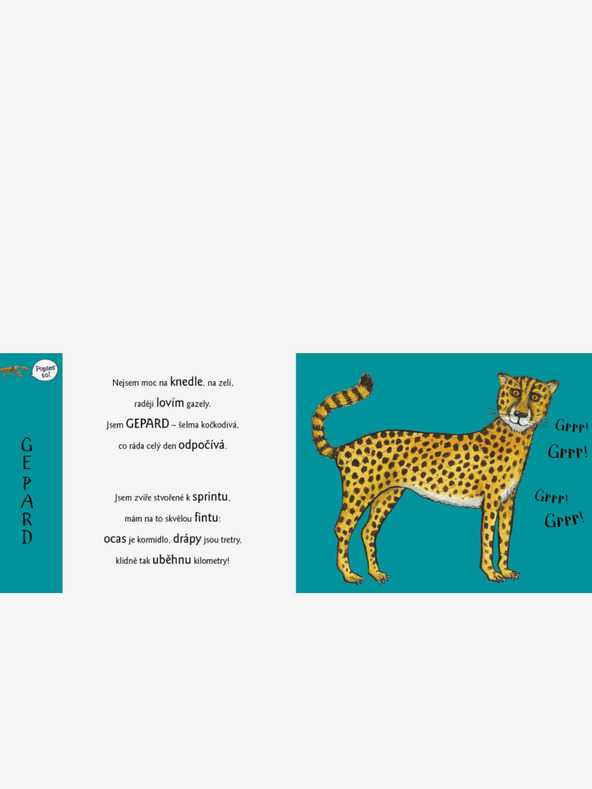 ELLA & MAX Pajkos játékok Az állatkertben állatokkal