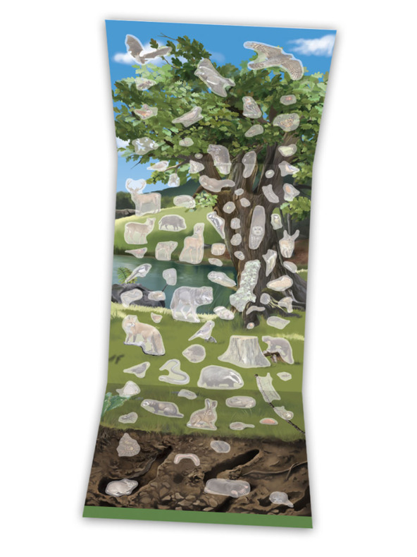 ELLA & MAX A FÁK, GOMBÁK ÉS AZ ERDŐK ÁLLATAI VILÁGA - Könyv poszterrel és matricákkal