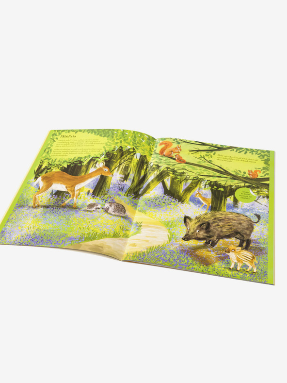 ELLA & MAX sünök, fülek és más szőrös lények - Matricáskönyv