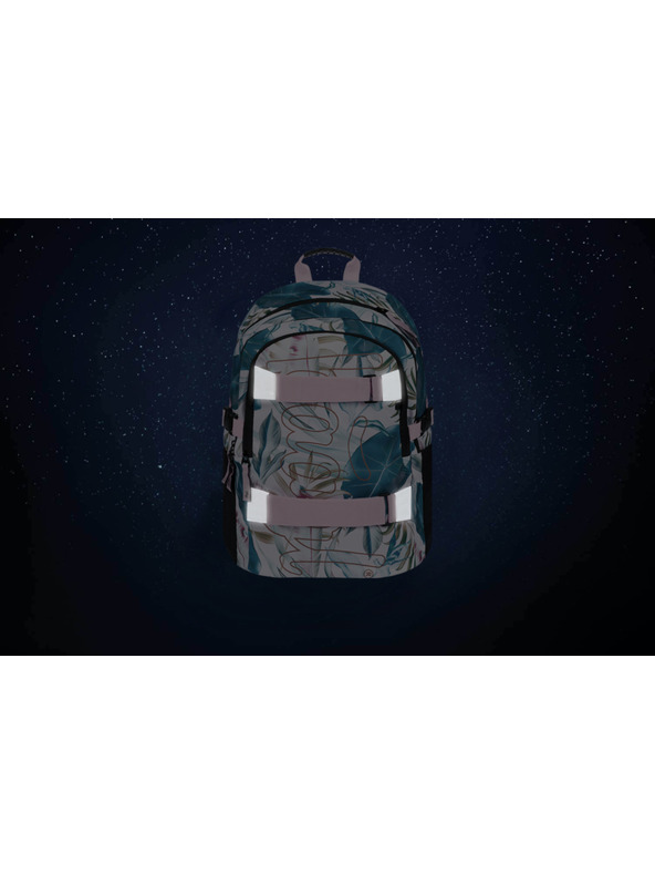 BAAGL  Lila Iskolai hátizsák Skate Leafs Baagl