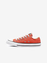 Converse Tégla női Converse Chuck Taylor All Star tornacipő