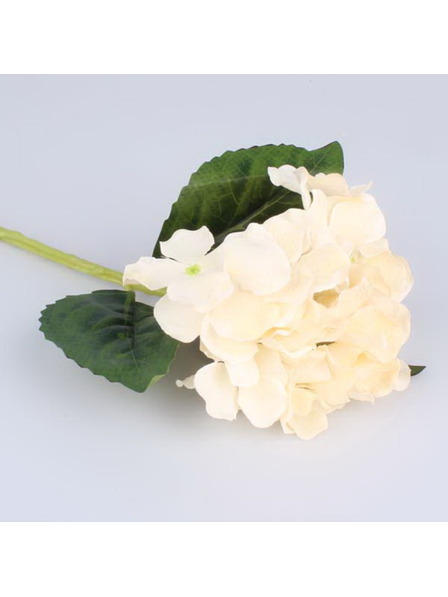 Casa de Engel Művirág hortenzia, 24/240