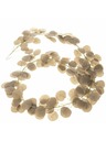 Casa de Engel Mű füzér - eukaliptusz, bézs, 0/200