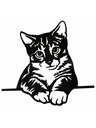 Casa de Engel Fali fa dekoráció - macska, 0/25