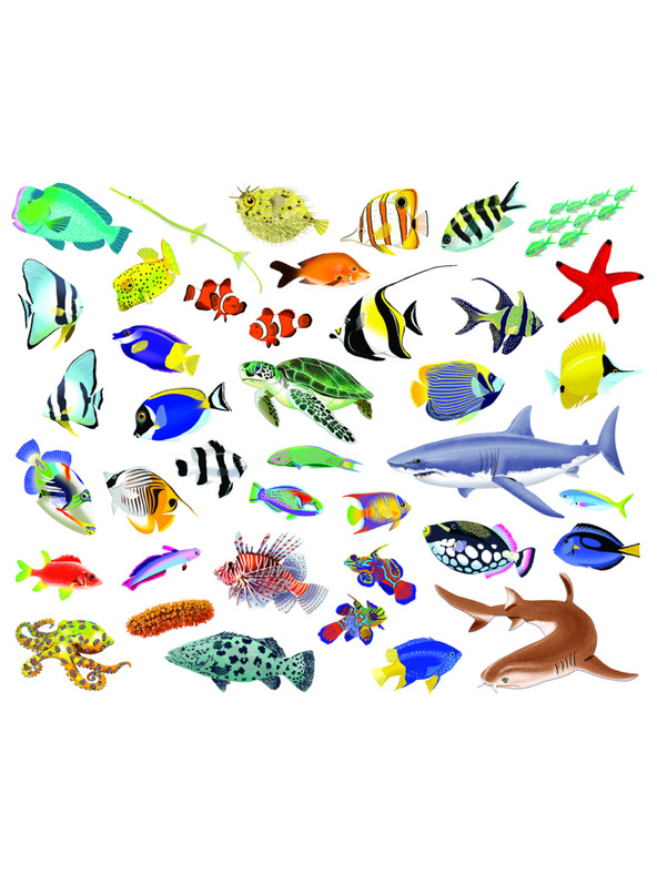 BAAGL  Olvass és ragassz – A VÍZ ALATT, matricás könyv