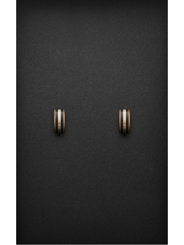 Daniel Wellington Daniel Wellington rozsdamentes acél fülbevaló DW00400310