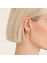 Rosefield Rosefield aranyozott női fülbevaló JEORG-J1129