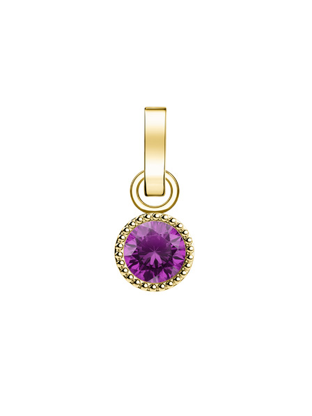 Rosefield Rosefield medál arany színben Birthstone Február szín