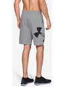 Under Armour Férfi rövidnadrágok Under Armour Rival Fleece Logo Sweatshort