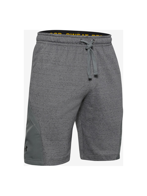 Under Armour Project Rock Rövidnadrág
