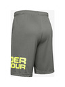 Under Armour Tech™ Rövidnadrág